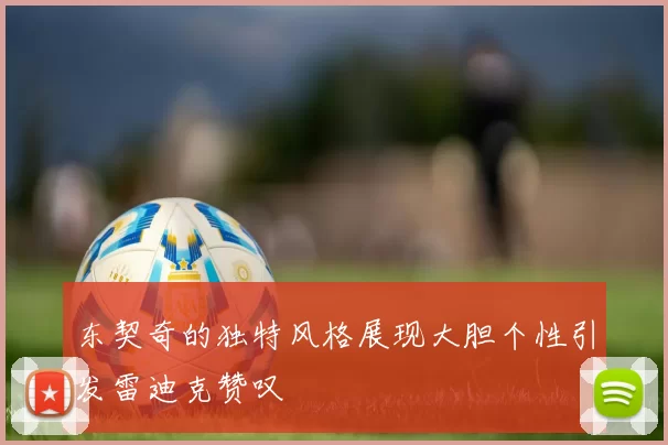东契奇的独特风格展现大胆个性引发雷迪克赞叹