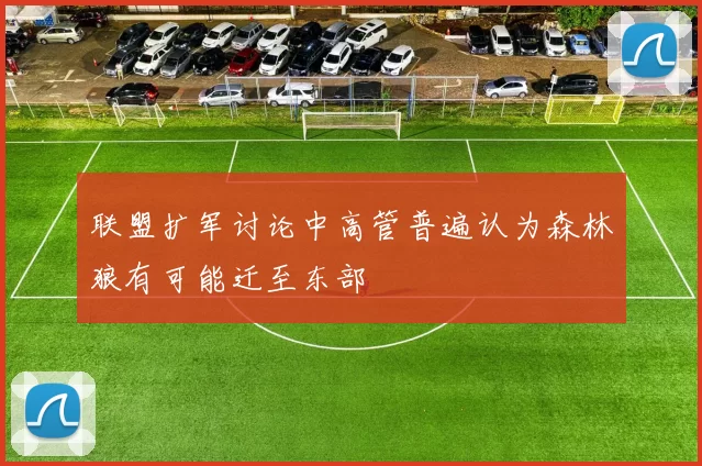 联盟扩军讨论中高管普遍认为森林狼有可能迁至东部