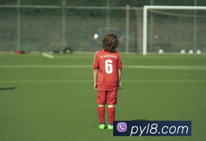 PA电子APP 封面图